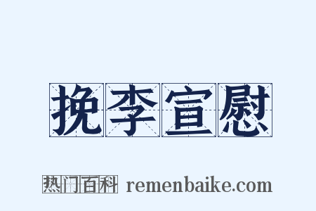 挽李宣慰是什么意思的图片